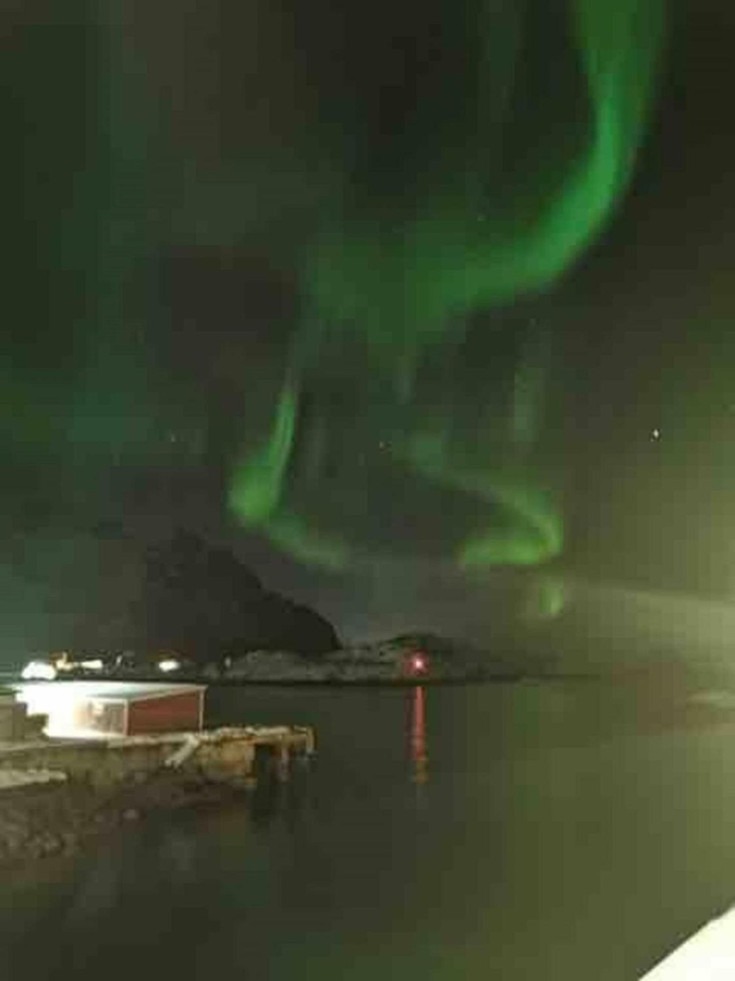 Ny Leilighet I Henningsvaer! Esterno foto
